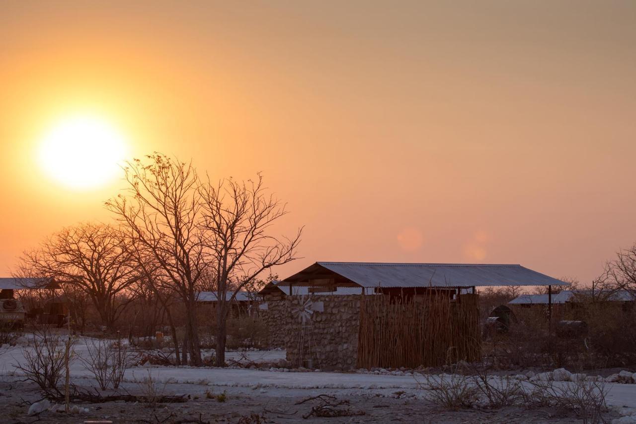 Etosha Trading Post Campsite Hotel Okaukuejo Luaran gambar